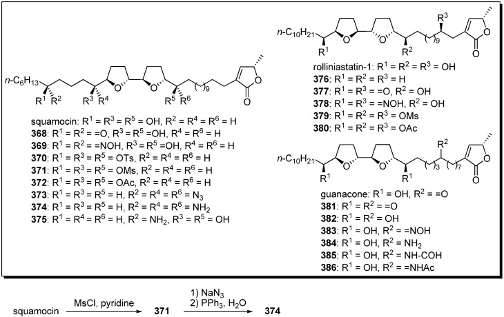 Scheme 26