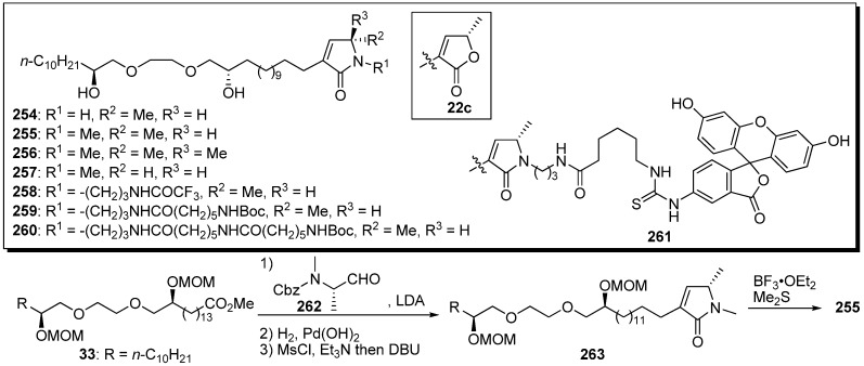 Scheme 19