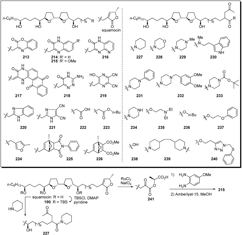 Scheme 17