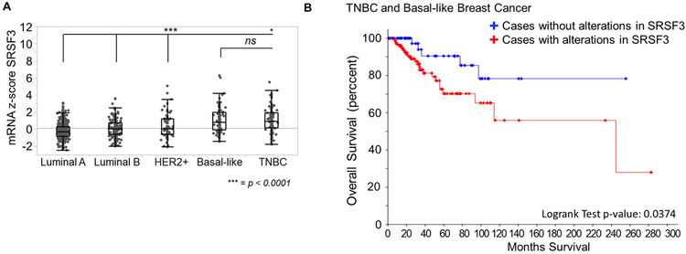 Figure 6: