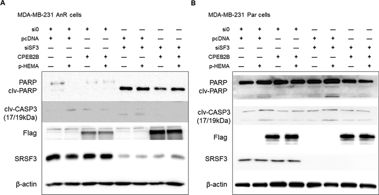 Figure 5: