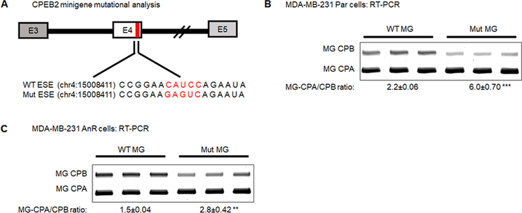 Figure 4: