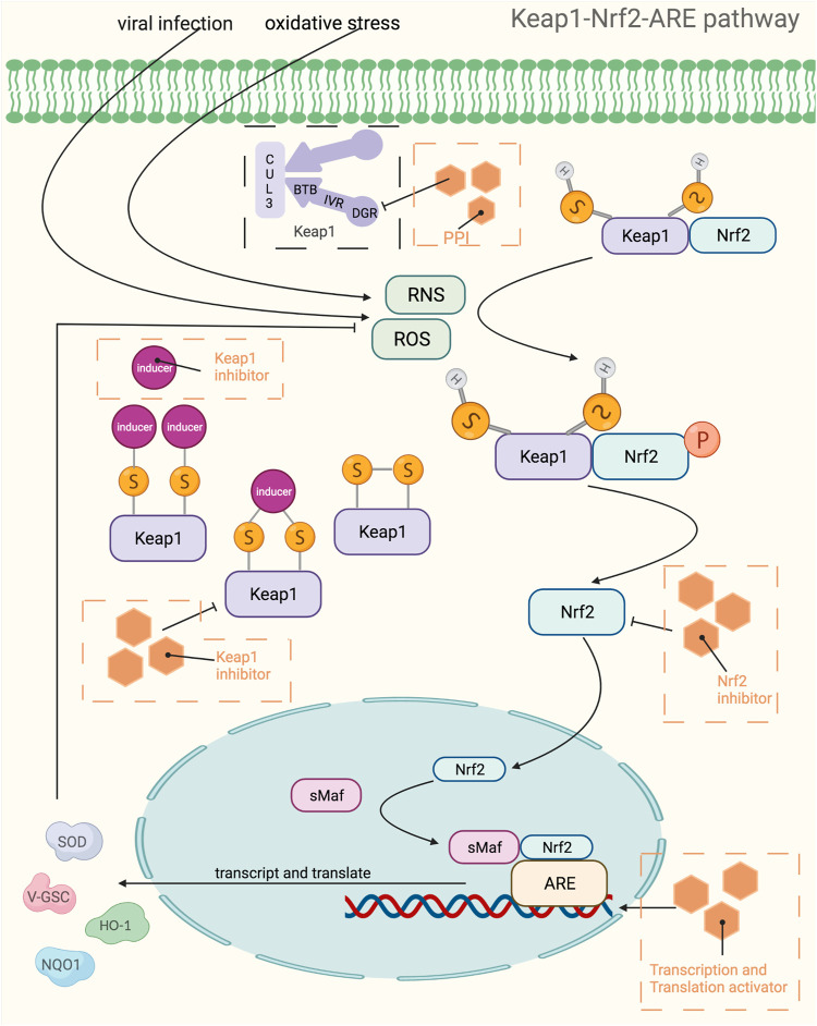 FIGURE 4
