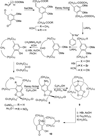 Scheme 2