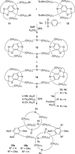 Scheme 3