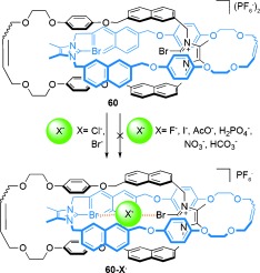 Scheme 55