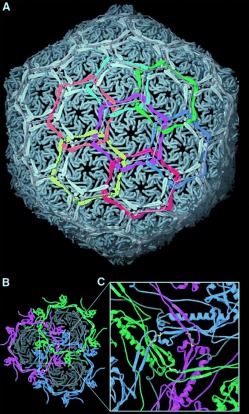 Figure 5