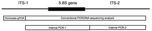 Fig. 1: