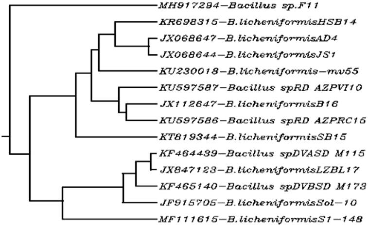 Fig. 3.2