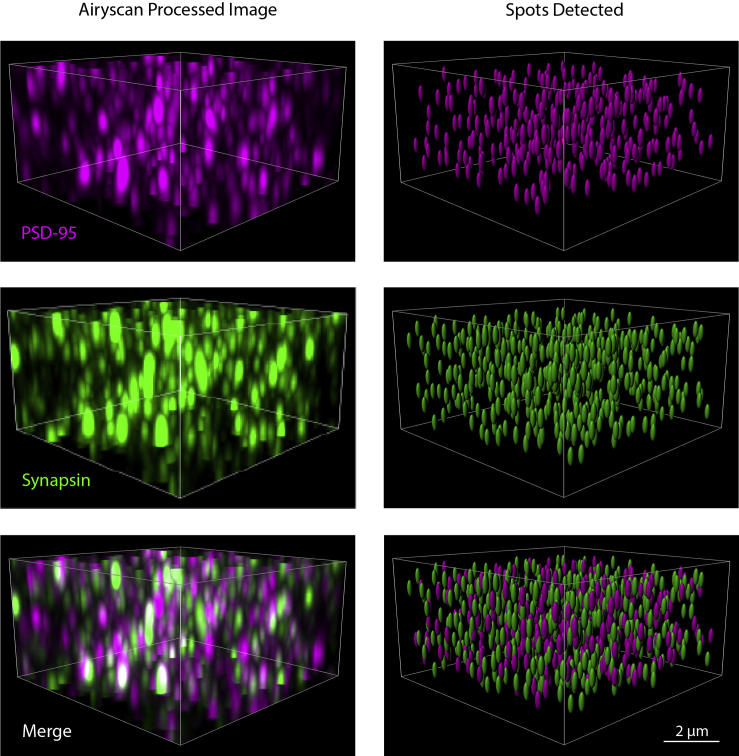 Figure 3