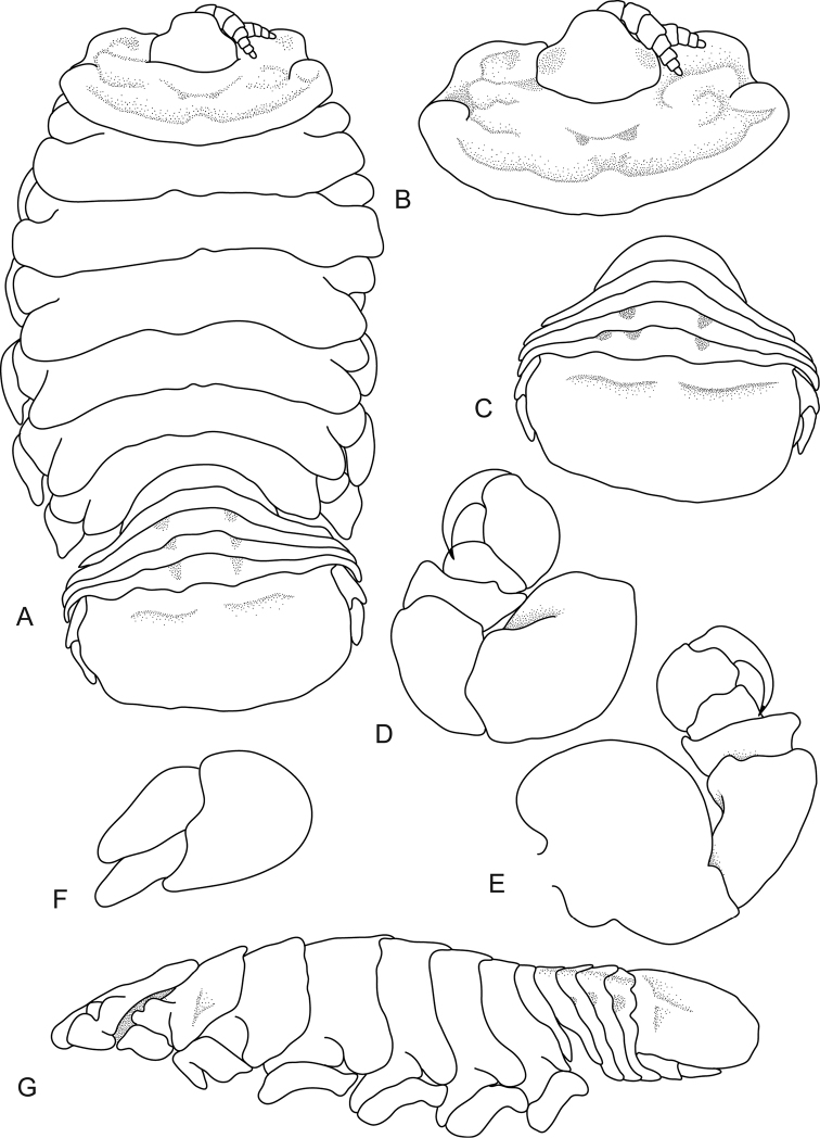 Figure 10.