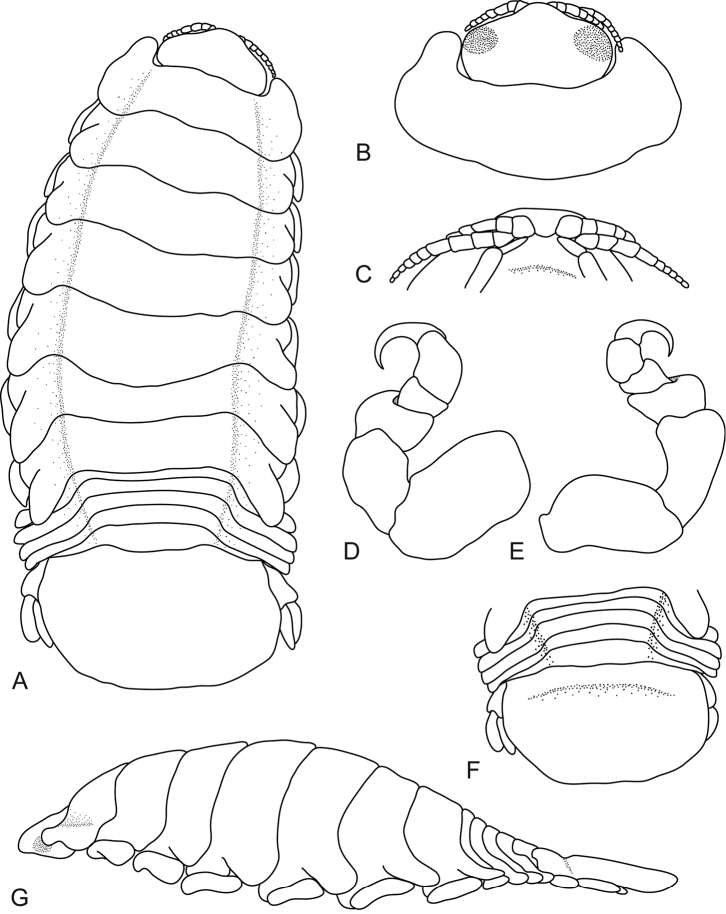 Figure 12.