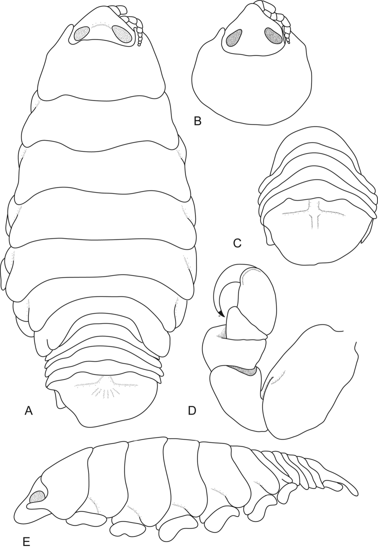 Figure 2.