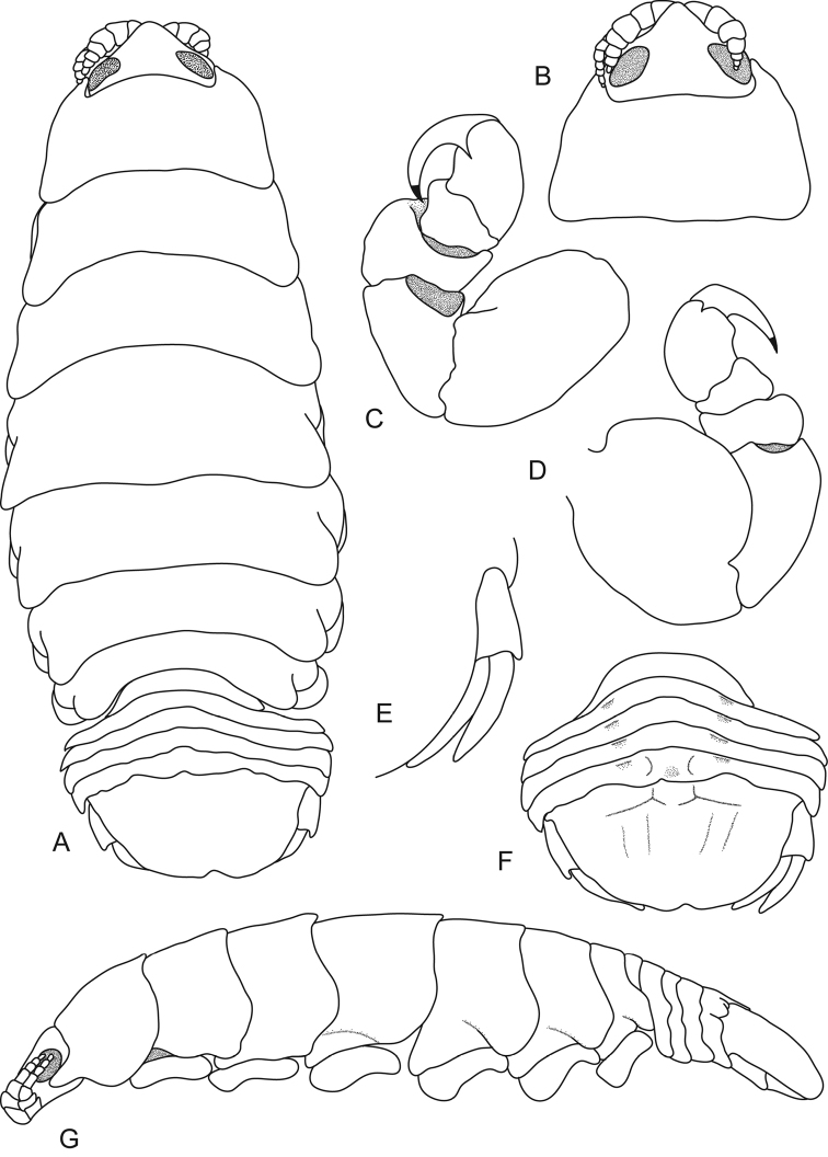 Figure 9.