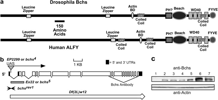 Figure 1.—