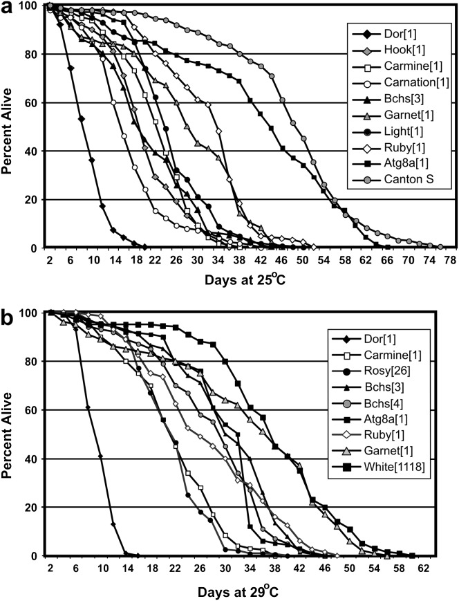 Figure 5.—