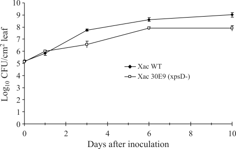 Figure 4