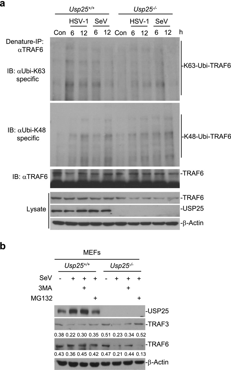 Fig. S9.