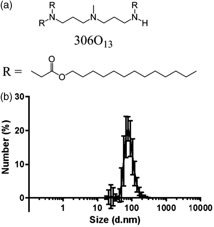 Lipidoid nanoparticle mediated silencing of Mcl-1 induces apoptosis in ...