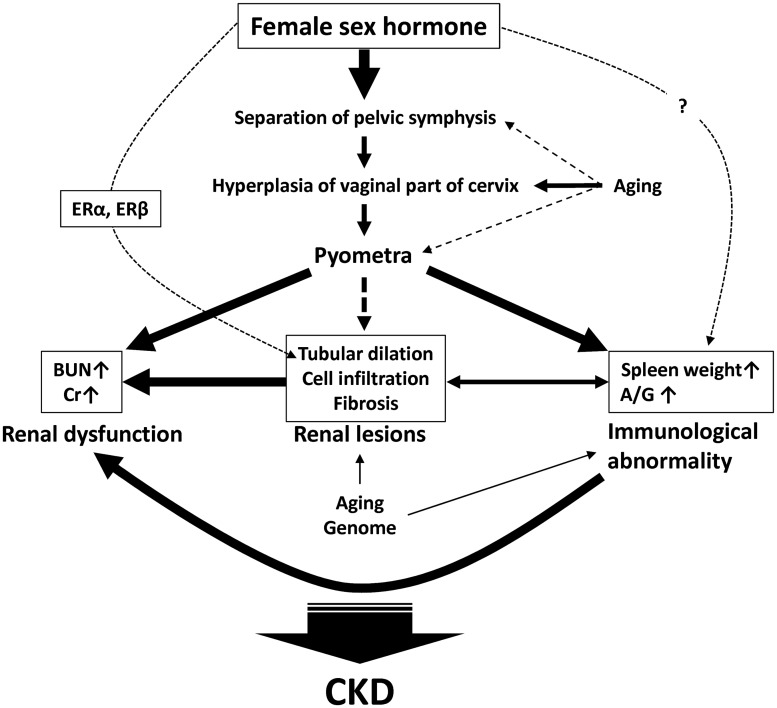 Figure 6.