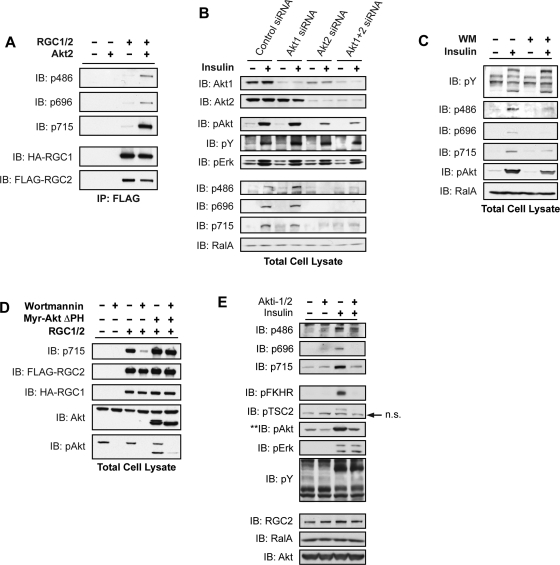 FIGURE 5: