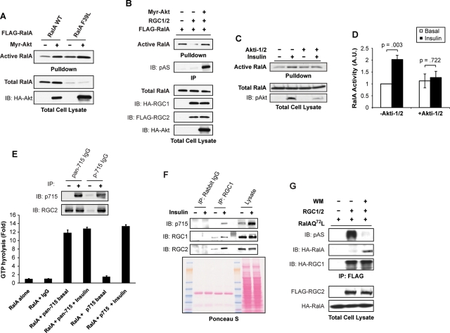 FIGURE 6: