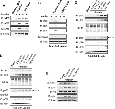 FIGURE 4: