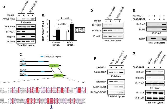 FIGURE 3: