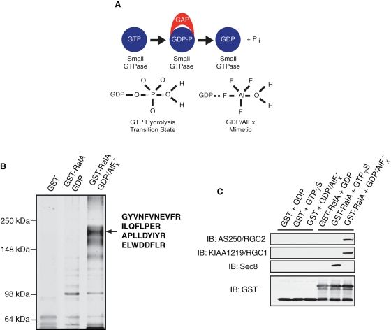 FIGURE 1: