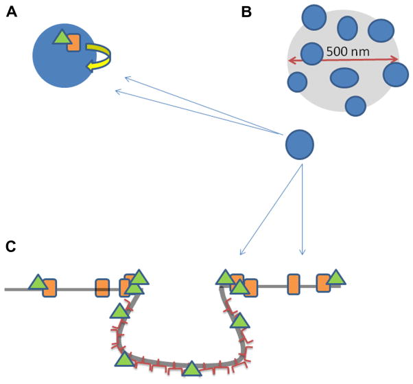 Fig. 7