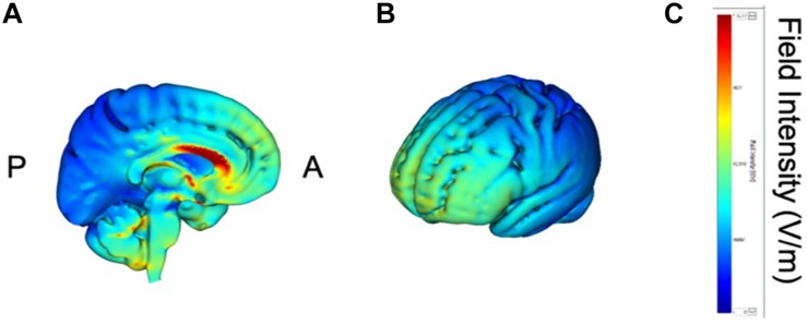 FIGURE 2