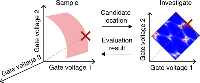 Fig. 2