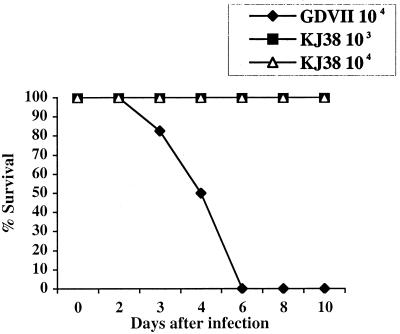 FIG. 8.