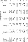 FIG. 2.