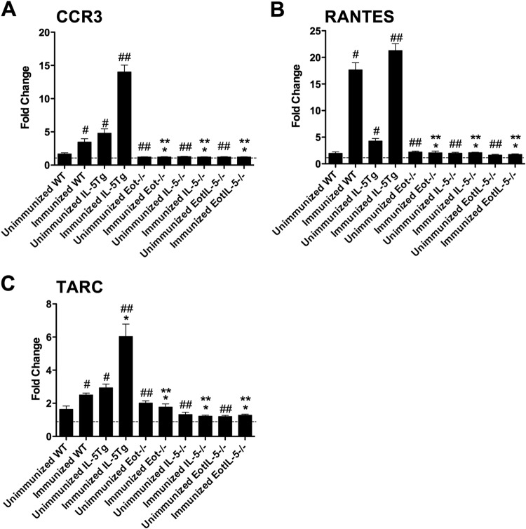 FIG 6