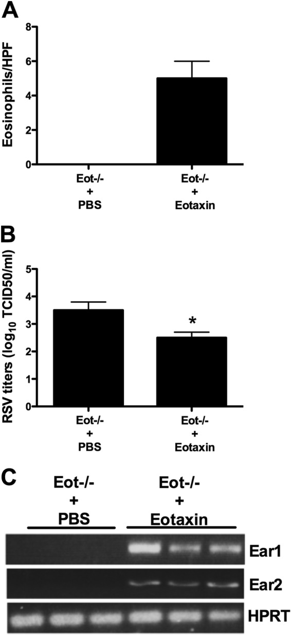 FIG 8