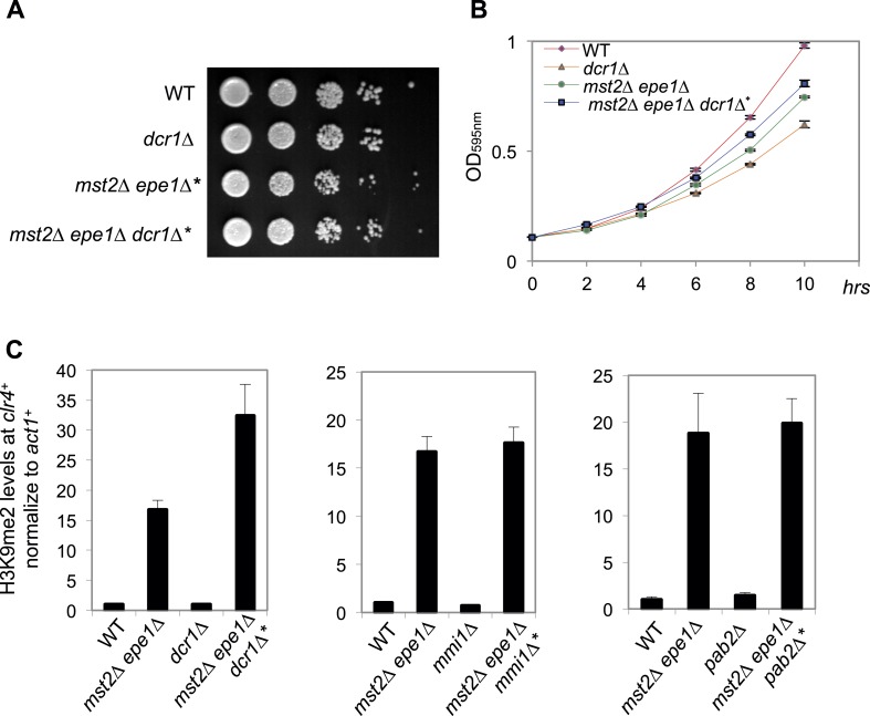 Figure 5—figure supplement 1.