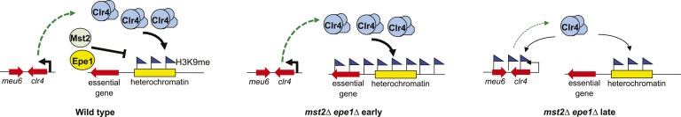 Figure 7.