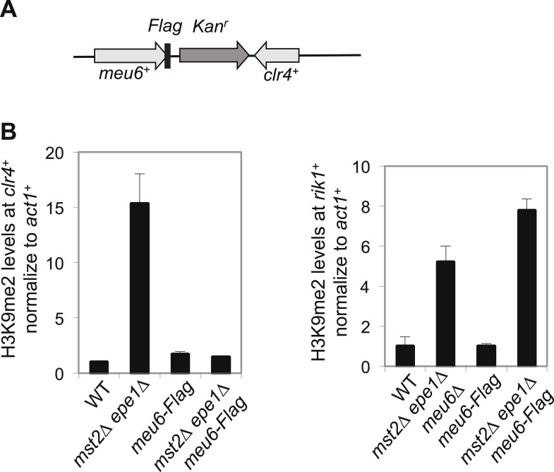 Figure 5—figure supplement 3.