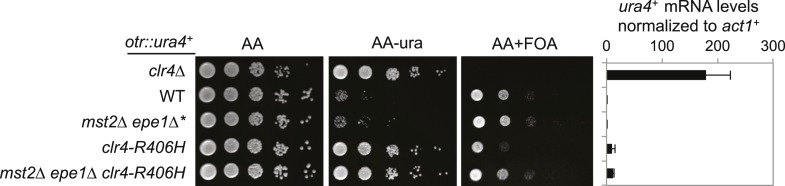 Figure 6—figure supplement 1.