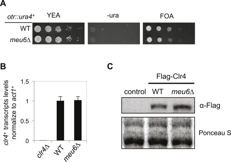 Figure 5—figure supplement 2.