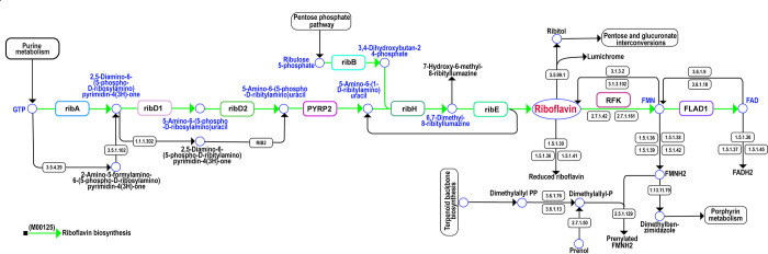 Fig 6