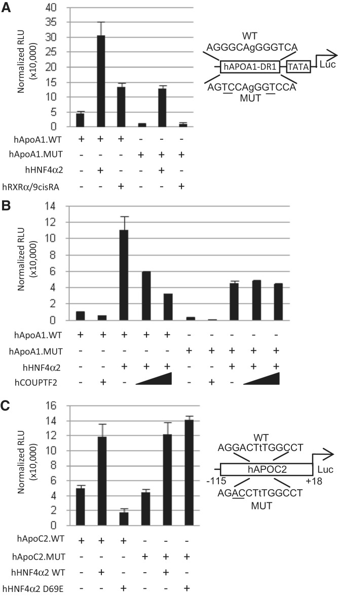 Figure 6.