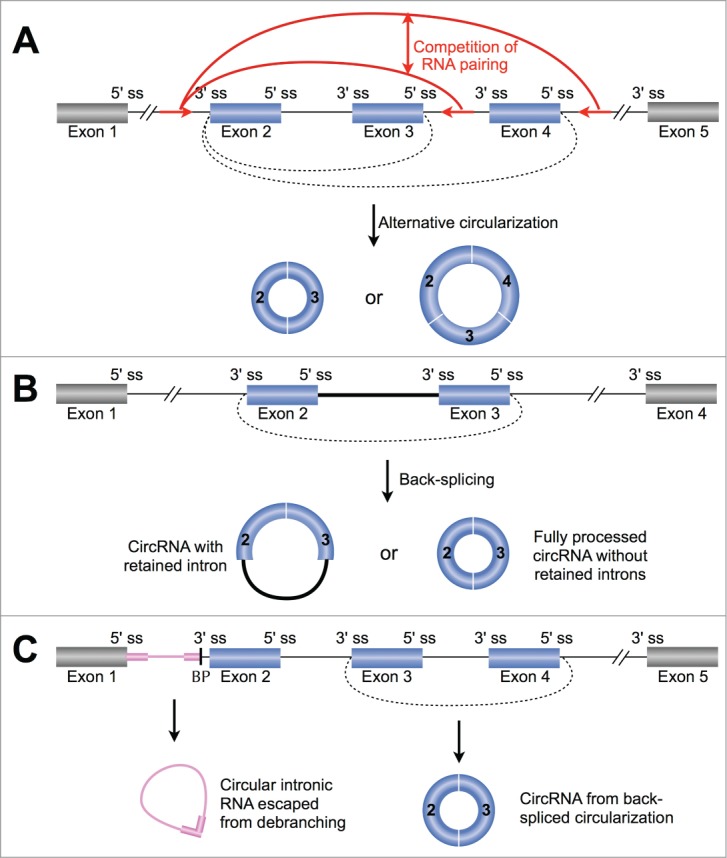 Figure 4.