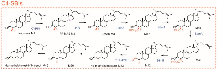 Figure 4