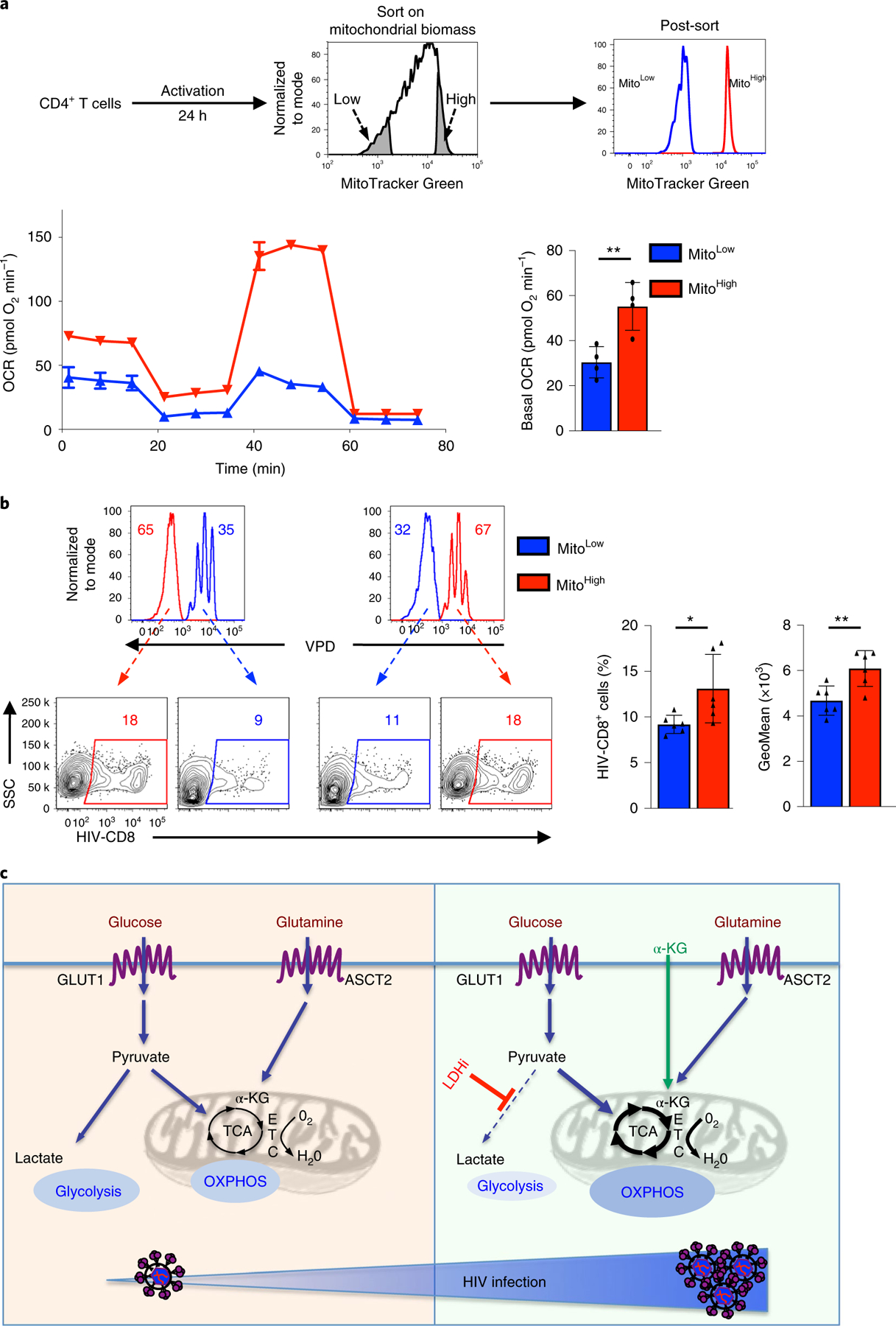 Fig. 7 |