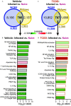 Figures 6A and 6C are Venn diagrams titled Vehicle: Infected versus Naïve and 2,3,7,8-tetrachlorodibenzo-p-dioxin: infected versus naïve. The circle on the left is labeled whole genome bisulfite sequencing: 8,156 and 10,852, respectively, and the one on the right is labeled Ribonucleic acid sequencing: 2,137 and 1,688, respectively. Both dots intersect and the intersection area is labeled, Vehicle: Infected versus Naïve and 2,3,7,8-tetrachlorodibenzo-p-dioxin: infected versus naïve: 766 and 707, respectively. Figures 6B and 6D are horizontal bar graphs titled Vehicle: Infected versus Naïve and 2,3,7,8-Tetrachlorodibenzo-p-dioxin: infected versus naïve plotting (Figure 6B) nuclear factor kappa-light-chain-enhancer of activated B cells Activation by Viruses, nuclear factor kappa-light-chain-enhancer of activated B cells signaling, Tumor necrosis factor receptor 2 signaling, Lymphotoxinb Receptor signaling, T-cell receptor signaling, Apoptosis signaling, T Cell Exhaustion signaling, Th1 and Th2 Activation Pathway, Cluster of differentiation 40 signaling, Lipopolysaccharide stimulated Mitogen-activated protein kinases signaling, Pigment epithelium-derived factor signaling, Interleukin-6 signaling, Protein Kinase C Theta In T Lymphocytes, Type I Diabetes Mellitus Signaling, and Inducible T-Cell Costimulator–Inducible T-Cell Costimulator Ligand Signaling in T Helper Cells, and (Figure 6D) Peroxisome proliferator-activated receptors per retinoid X receptors a activation, nuclear factor kappa-light-chain-enhancer of activated B cells signaling, Interleukin-6 signaling, nuclear factor kappa-light-chain-enhancer of activated B cells Activation by Viruses, Tec Kinase Signaling, Th1 and Th2 Activation Pathway, Interleukin-10 Signaling, Apoptosis signaling, Inducible T-Cell Costimulator–Inducible T-Cell Costimulator Ligand Signaling in T Helper Cells, Protein Kinase A signaling, Protein Kinase C Theta In T Lymphocytes, Gonadotropin-releasing hormone Signaling, Cluster of differentiation 40 signaling, Inducible Nitric Oxide Synthase signaling, and Peroxisome proliferator-activated receptor signaling (y-axis) across negative log to the base 10 of (lowercase p value), ranging from 0 to 10 in increments of 2 and from 0 to 8 in increments of 2, respectively.