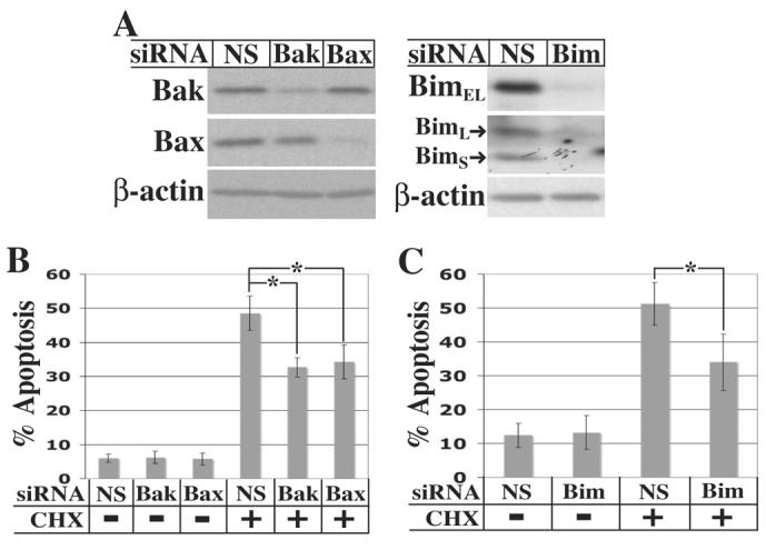 Fig 8