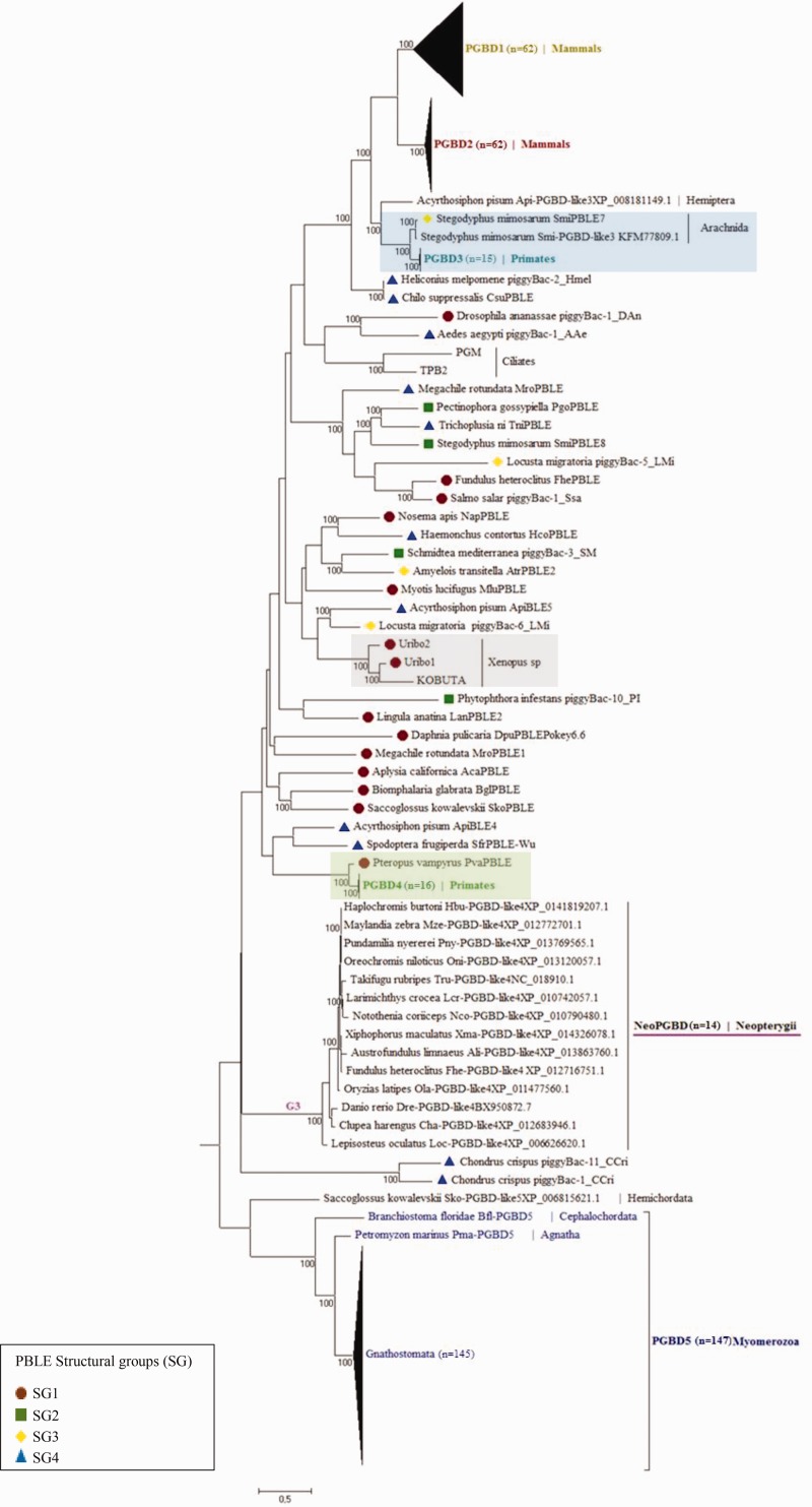 Fig. 6.—