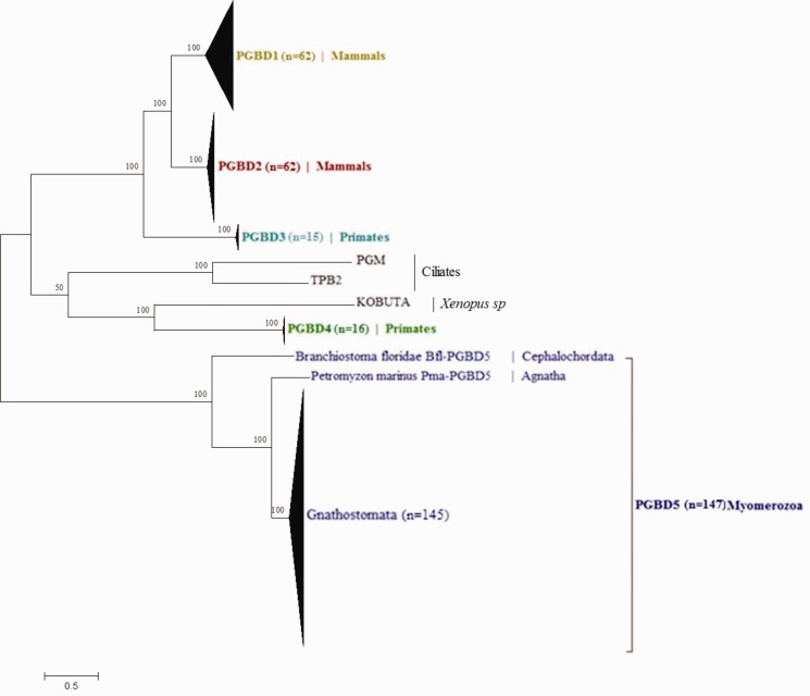 Fig. 4.—